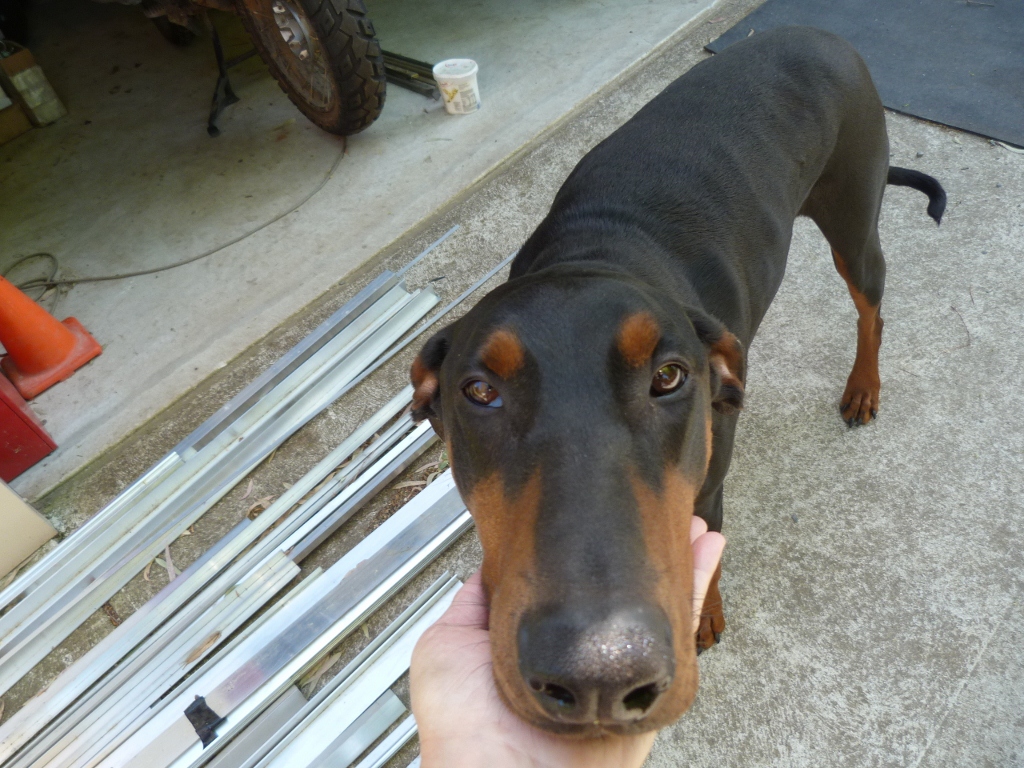 webassets/P1080285__1024x768_.jpg
