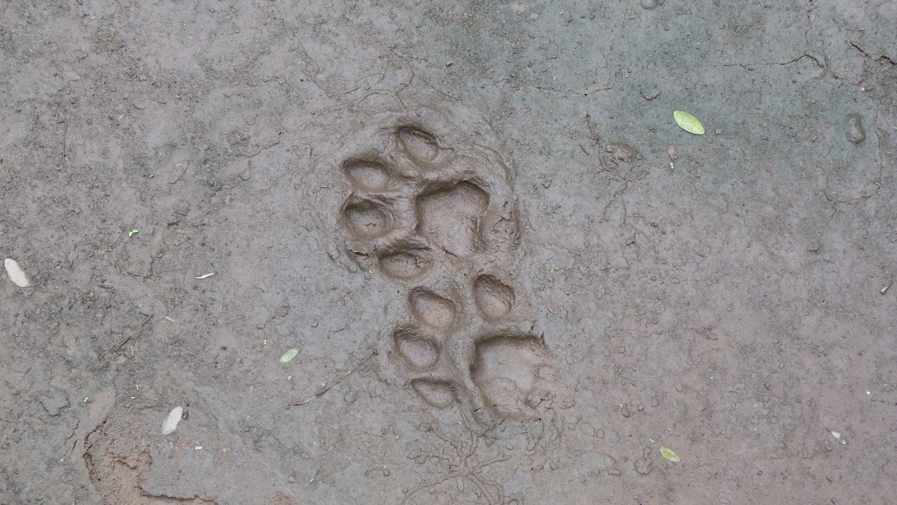 webassets/P1100420.jpg