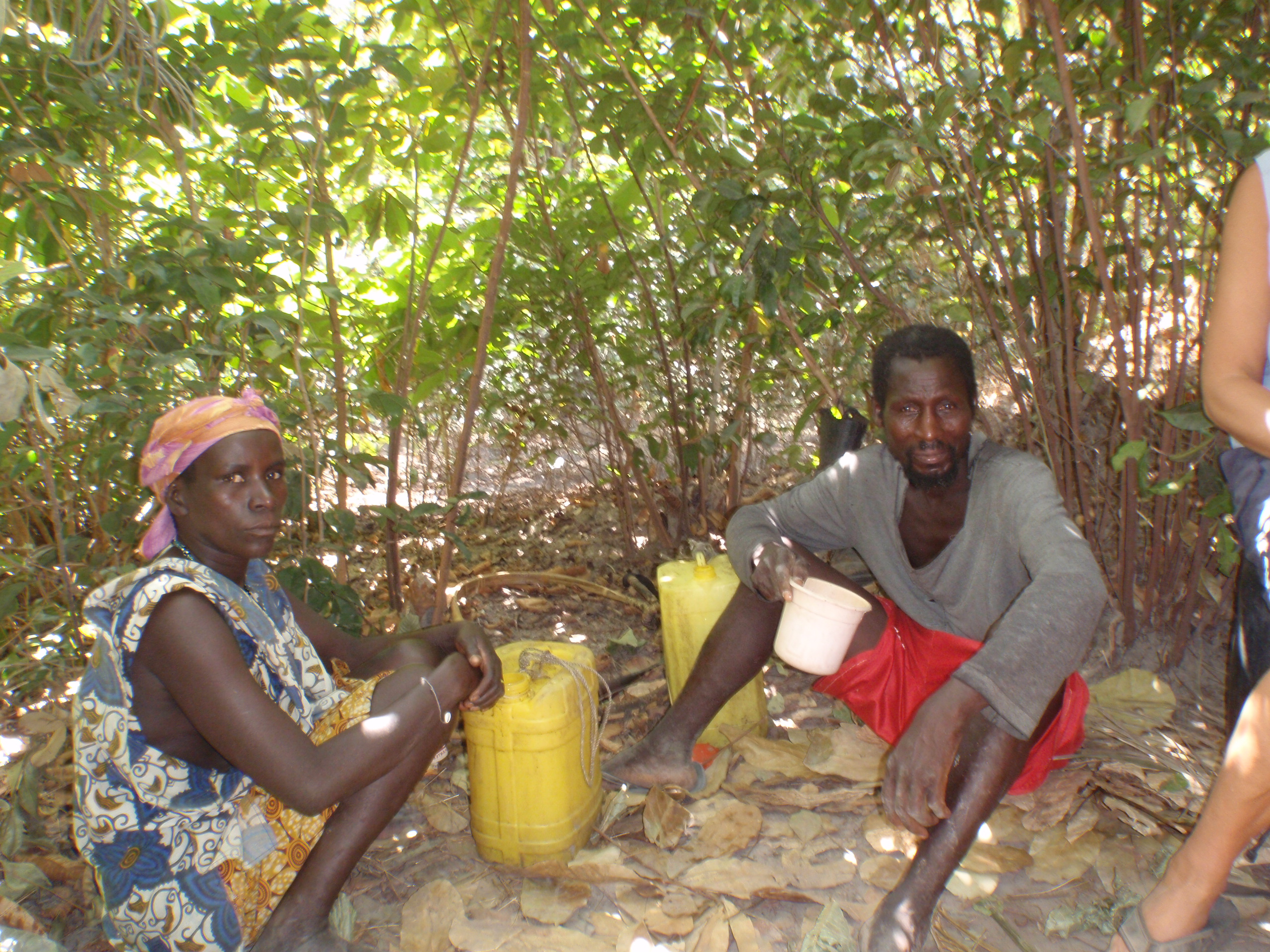 webassets/palmwine.JPG